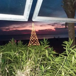 Meet your Posher, Patti